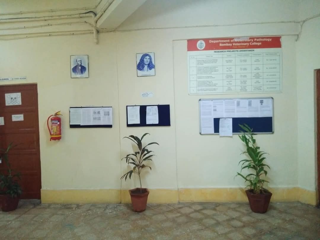 Display Area